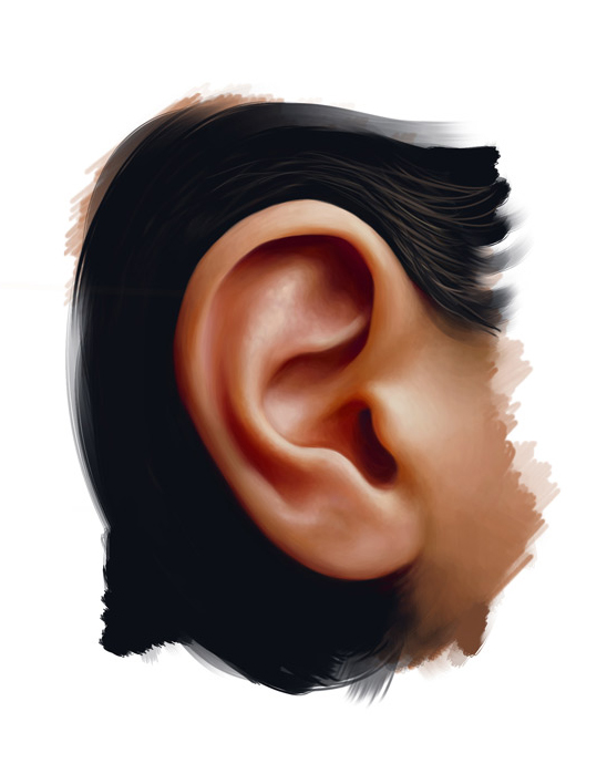 Ear 2